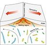 Scale at which Earth's mantle composition varies