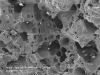 Cosmic impacts may help create suitable habitat for life