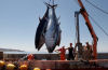 Humans have tripled mercury levels in upper ocean