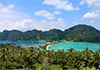 Surprisingly, tropical forests are not a carbon sink