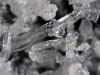 Winners of the EAG Photo Contest