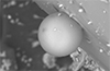 Volcanic lightning storms are creating perfect crystal balls