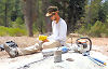Bedrock influences forests more than previously believed