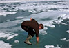Climate change: Data shows 2016 likely to be warmest year yet
