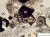 Kimberlite: Diamond-Bearing Rock Discovered in Antarctica
