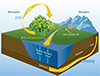 How rivers regulate global carbon cycle