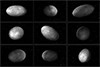 Pluto's Moons Are Even Weirder Than Thought