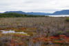 Increased climate change risk from methane...