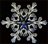 Who ever said no two snowflakes were alike? 