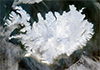 Strange mantle plume under Iceland helps keep Scotland afloat