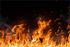 Fires were more common 300 million years ago than today