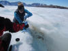 The 'microbial garden' taking the shine off glaciers