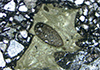 Ancient meteorite impact sparked long-lived volcanic eruptions