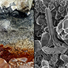 Announcing the winners of the EAG Photo Contest 