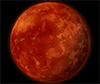 Earth organisms survive under low-pressure Martian conditions