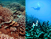 Press releases from Goldschmidt2015