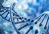 News from the primordial world
